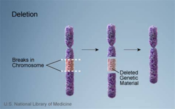 Are chromosomal deletions inherited?