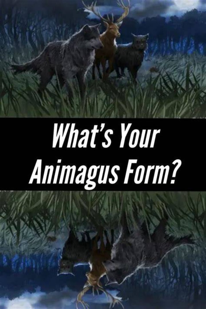 Can an Animagus have multiple forms?