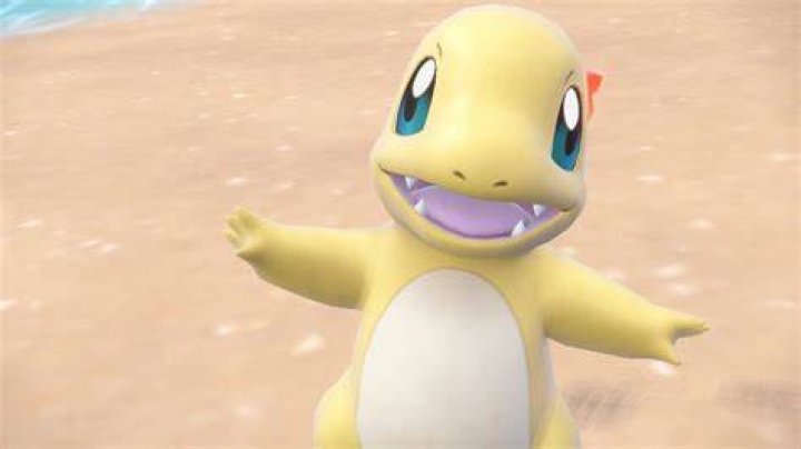 Can Leon's gift Charmander be shiny?