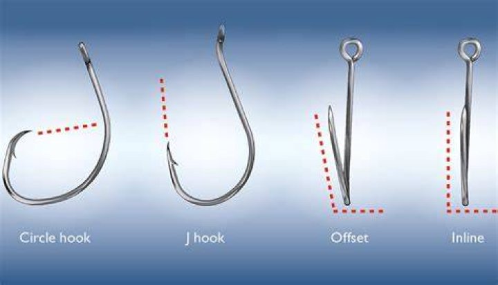 Do fish hook themselves on circle hooks?