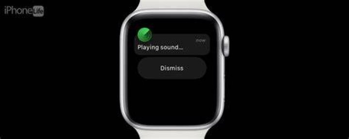 How do I find out the last time my Apple Watch was offline?