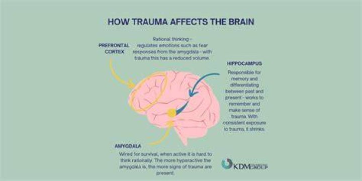 How do you heal a traumatized brain?