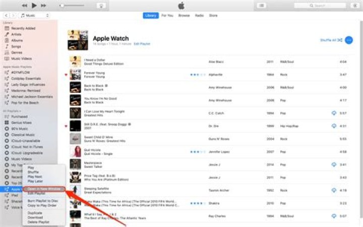 How do you make a new playlist on iTunes?