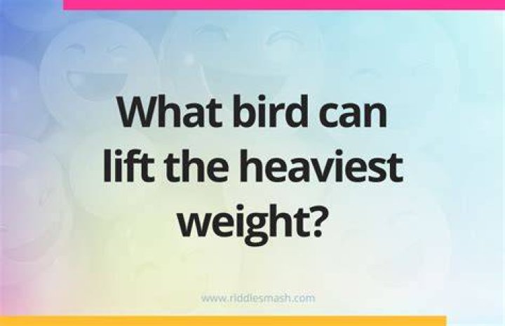 What bird can lift the heaviest?