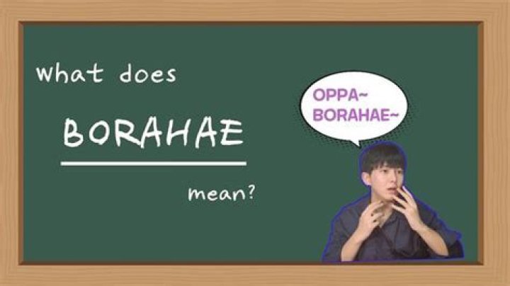 What do u mean by Borahae?