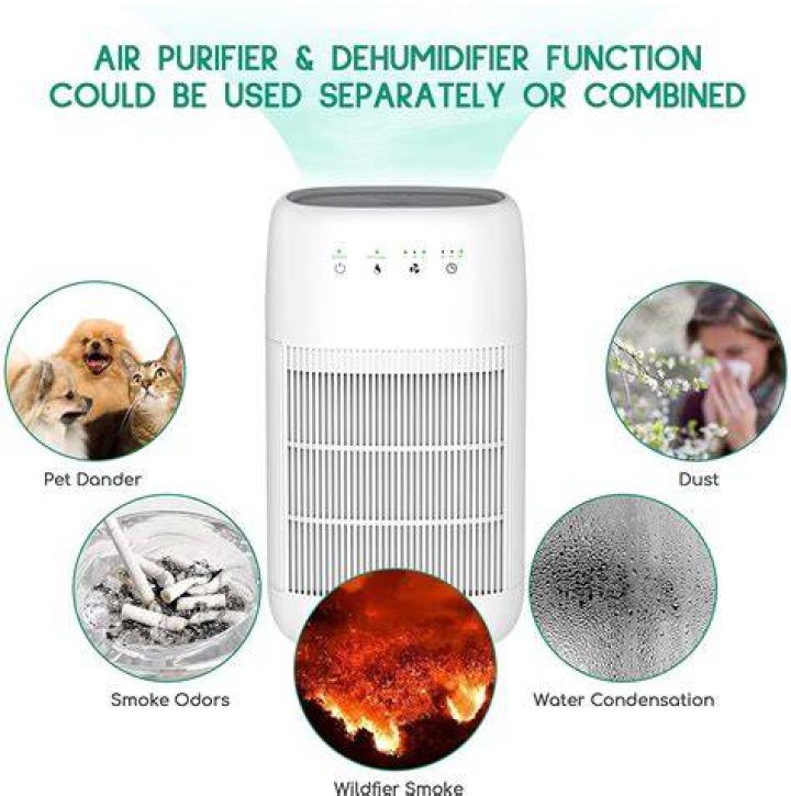 What is better a dehumidifier or air purifier?