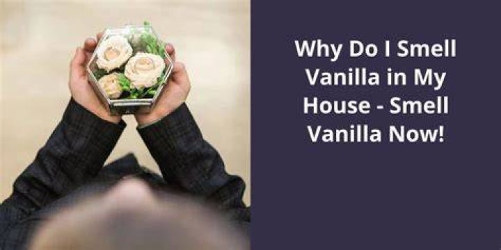 Why does vanilla smell so good?